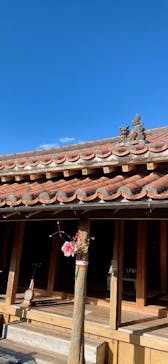 おきなわワールドに投稿された画像（2025/1/13）