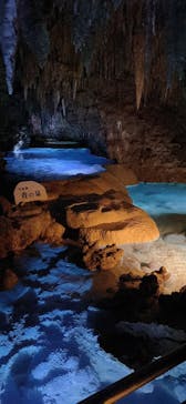 おきなわワールドに投稿された画像（2025/1/13）