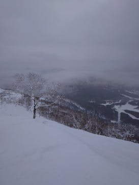星野リゾート　トマムスキー場に投稿された画像（2025/1/13）