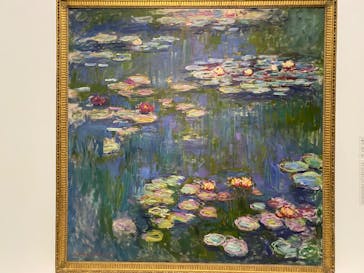 モネ 睡蓮のとき（国立西洋美術館）に投稿された画像（2025/1/13）