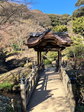 三溪園に投稿された画像（2025/1/13）