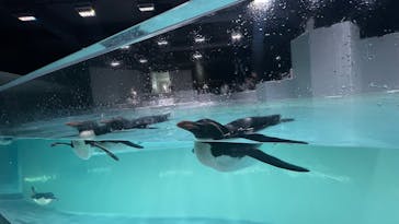 AOAO SAPPOROに投稿された画像（2025/1/13）