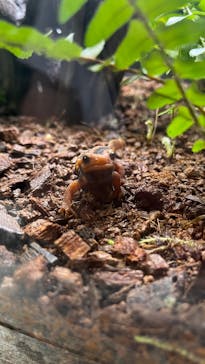 AOAO SAPPOROに投稿された画像（2025/1/13）