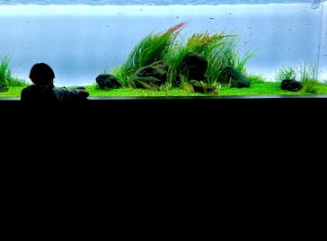 AOAO SAPPOROに投稿された画像（2025/1/13）