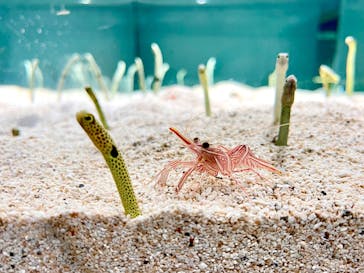 AOAO SAPPOROに投稿された画像（2025/1/13）