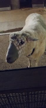 沖縄こどもの国に投稿された画像（2025/1/13）