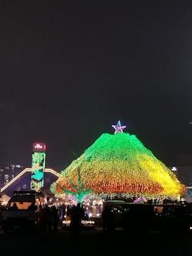 東京メガイルミに投稿された画像（2025/1/13）