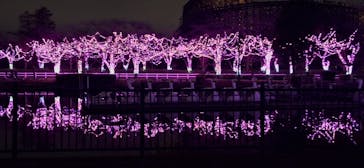 東武動物公園に投稿された画像（2025/1/13）