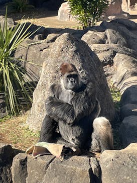 千葉市動物公園に投稿された画像（2025/1/13）