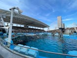 名古屋港水族館に投稿された画像（2025/1/13）