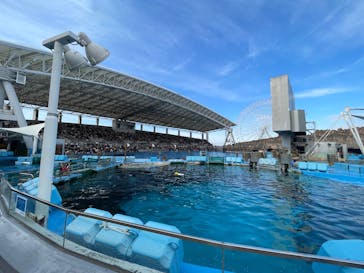 名古屋港水族館に投稿された画像（2025/1/13）