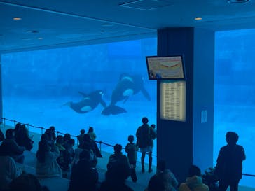 名古屋港水族館に投稿された画像（2025/1/13）