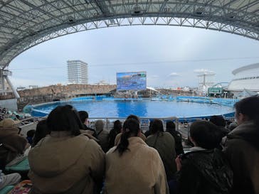 名古屋港水族館に投稿された画像（2025/1/13）