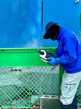 千葉市動物公園に投稿された画像（2025/1/13）