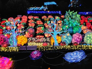 伊豆高原グランイルミに投稿された画像（2025/1/13）