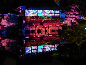 NAKEDヨルマイリ 2025-26 平安神宮に投稿された画像（2025/1/13）