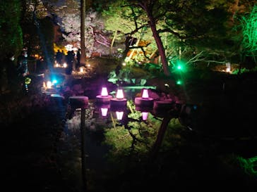 NAKEDヨルマイリ 2025-26 平安神宮に投稿された画像（2025/1/13）