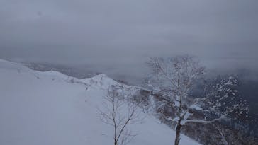 星野リゾート　トマムスキー場に投稿された画像（2025/1/13）