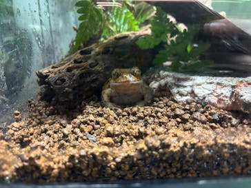 サンシャイン水族館に投稿された画像（2025/1/13）