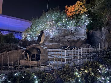 サンシャイン水族館に投稿された画像（2025/1/13）