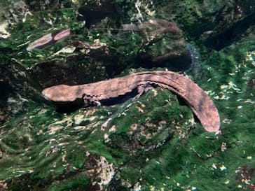 京都水族館に投稿された画像（2025/1/13）