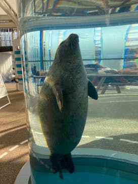 京都水族館に投稿された画像（2025/1/13）