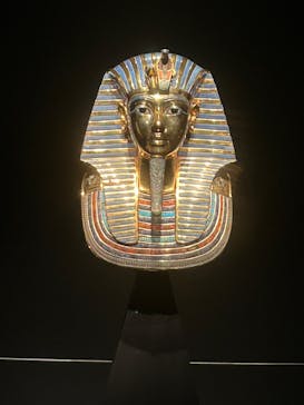 MYSTERY OF TUTANKHAMEN 体感型古代エジプト展に投稿された画像（2025/1/13）