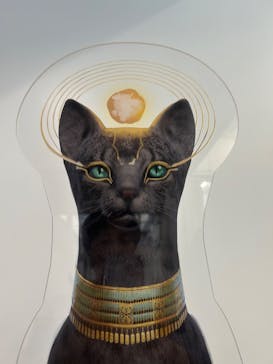 IMMERSIVE JOURNEYに投稿された画像（2025/1/13）