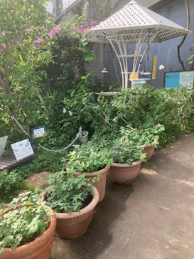 多摩動物公園に投稿された画像（2025/1/13）