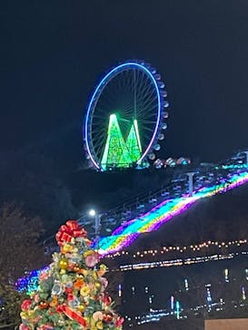 さがみ湖MORI MORIに投稿された画像（2025/1/13）