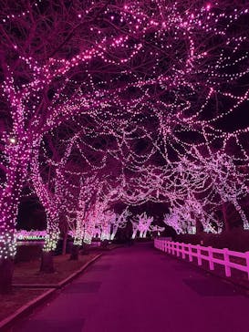 東武動物公園に投稿された画像（2025/1/13）