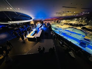 すみだ水族館に投稿された画像（2025/1/13）