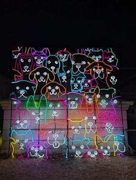 神戸イルミナージュに投稿された画像（2025/1/13）