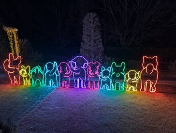 神戸イルミナージュに投稿された画像（2025/1/13）