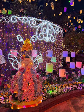 ひらかたパークに投稿された画像（2025/1/13）