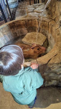 おさるランド＆アニタウン　日光さる軍団劇場に投稿された画像（2025/1/13）