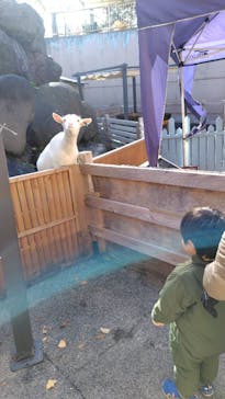 おさるランド＆アニタウン　日光さる軍団劇場に投稿された画像（2025/1/13）