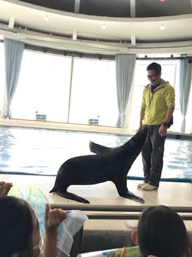 アクアワールド茨城県大洗水族館に投稿された画像（2025/1/13）