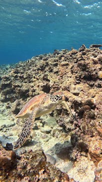  マリンショップHAPPYに投稿された画像（2025/1/13）