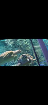 名古屋港水族館に投稿された画像（2025/1/13）