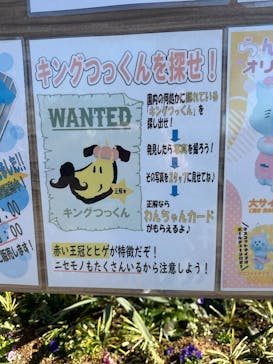 つくばわんわんランドに投稿された画像（2025/1/13）