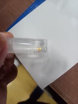 土肥金山に投稿された画像（2025/1/13）