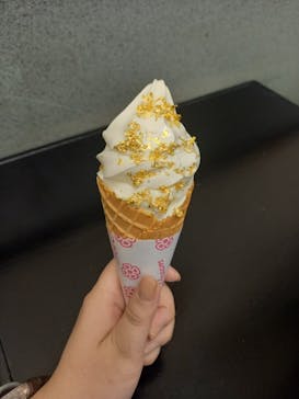 土肥金山に投稿された画像（2025/1/13）