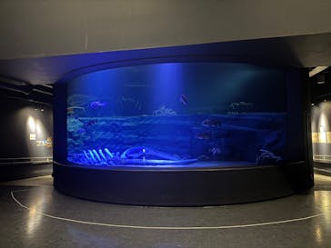 竹島水族館に投稿された画像（2025/1/14）