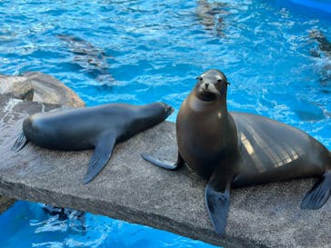 名古屋市東山動植物園に投稿された画像（2025/1/14）