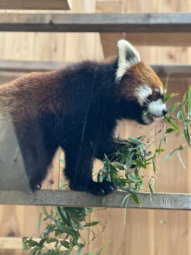 名古屋市東山動植物園に投稿された画像（2025/1/14）