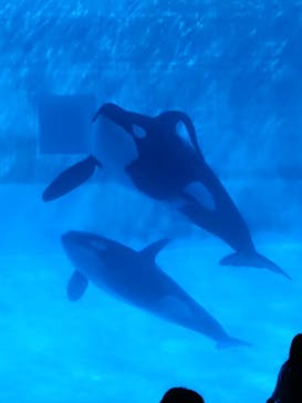 名古屋港水族館に投稿された画像（2025/1/14）