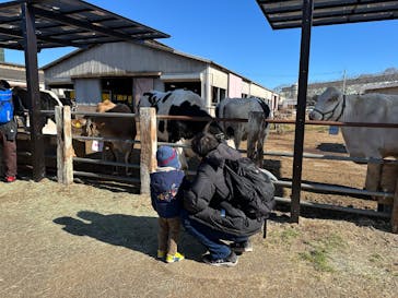 成田ゆめ牧場に投稿された画像（2025/1/14）
