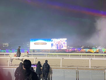 東京メガイルミに投稿された画像（2025/1/14）