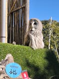 伊豆シャボテン動物公園に投稿された画像（2025/1/14）